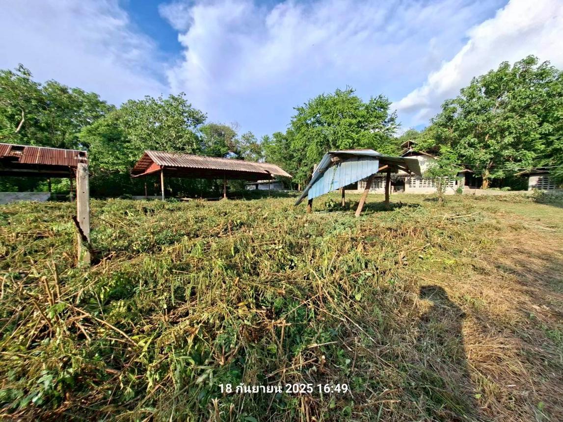 รูป ฟาร์ม 27277 ตร.วา พระพุทธบาท สระบุรี 17.6M - รูปที่ 30/43