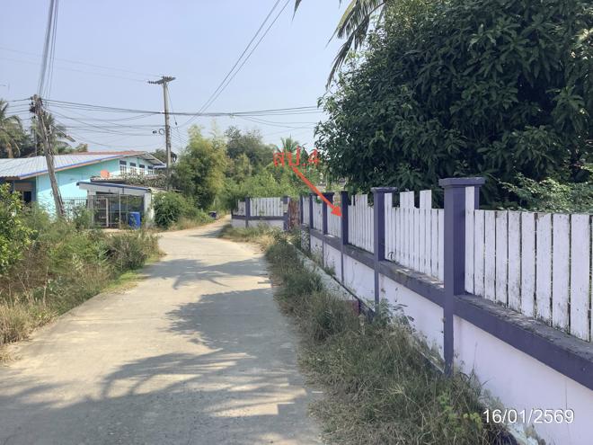 รูป บ้านเดี่ยว 465 ตร.วา สรรคบุรี ชัยนาท 2.9M - รูปที่ 24/53