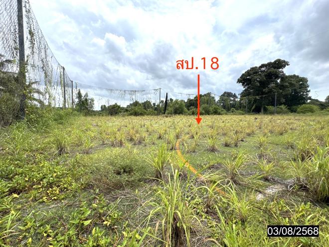 รูป โกดัง 11795 ตร.วา เดชอุดม อุบลราชธานี 37.3M - รูปที่ 31/71
