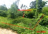 listing thumbnail image 9