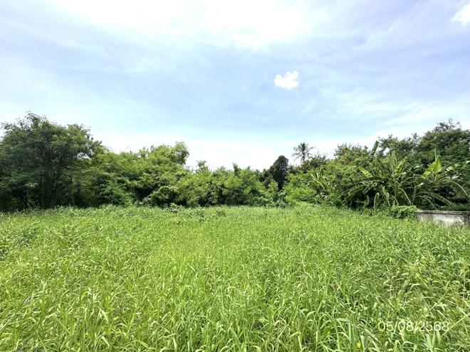 picture LAND 226 Sq.w. Bang Khae Bangkok for 6.9M - 5/15