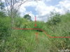 listing thumbnail image 15