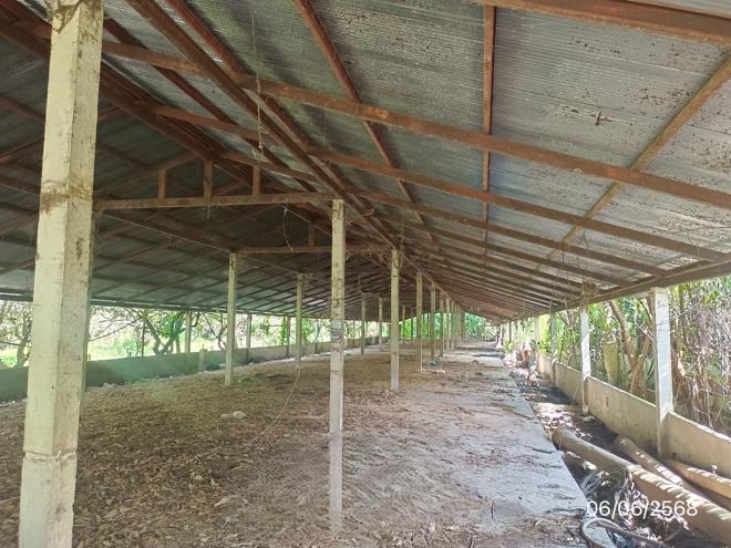 picture FACTORY 4023 Sq.w. Wiang Chai Chiang Rai for 4.5M - 4/25