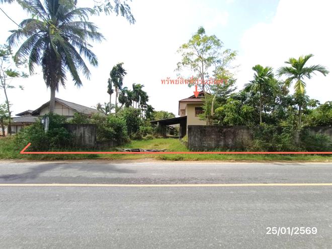 รูป บ้านเดี่ยว 2793 ตร.วา ระโนด สงขลา 4.2M - รูปที่ 2/45