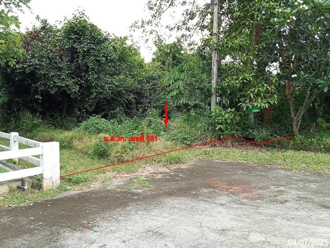 picture LAND 200 Sq.w. Pak Chong Nakhon Ratchasima for 3.6M - 2/17