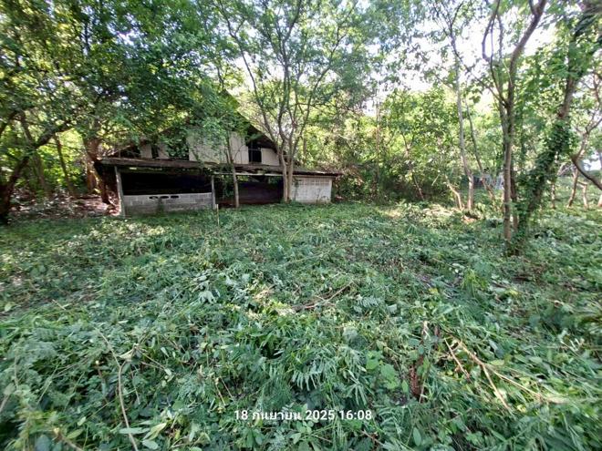 รูป ฟาร์ม 27277 ตร.วา พระพุทธบาท สระบุรี 17.6M - รูปที่ 14/43