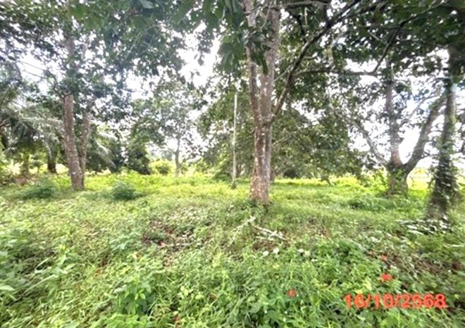 picture LAND 379.5 Sq.w. Muang Surat Thani Surat Thani for 1.7M - 9/21