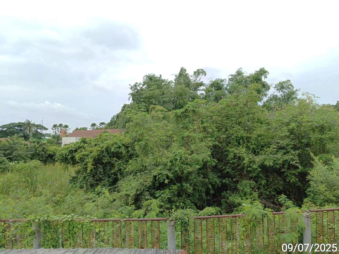 picture LAND 2134.8 Sq.w. Wichian Buri Phetchabun for 4.2M - 17/21