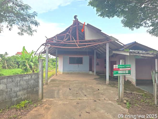 รูป บ้านเดี่ยว 255 ตร.วา เวียงป่าเป้า เชียงราย 873,000 - รูปที่ 13/35