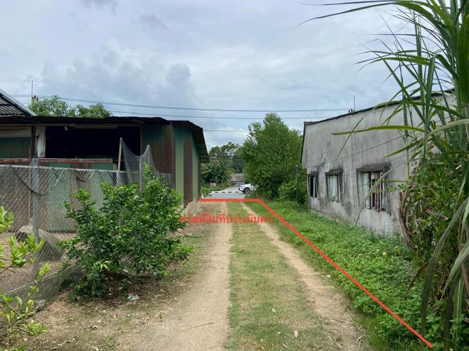 รูป ที่ดินว่างเปล่า 727.8 ตร.วา รัตภูมิ สงขลา 8.1M - รูปที่ 9/25