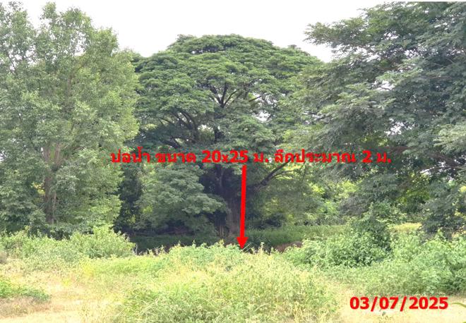 picture FACTORY 3131 Sq.w. Mae Tha Lamphang for 4.7M - 19/47