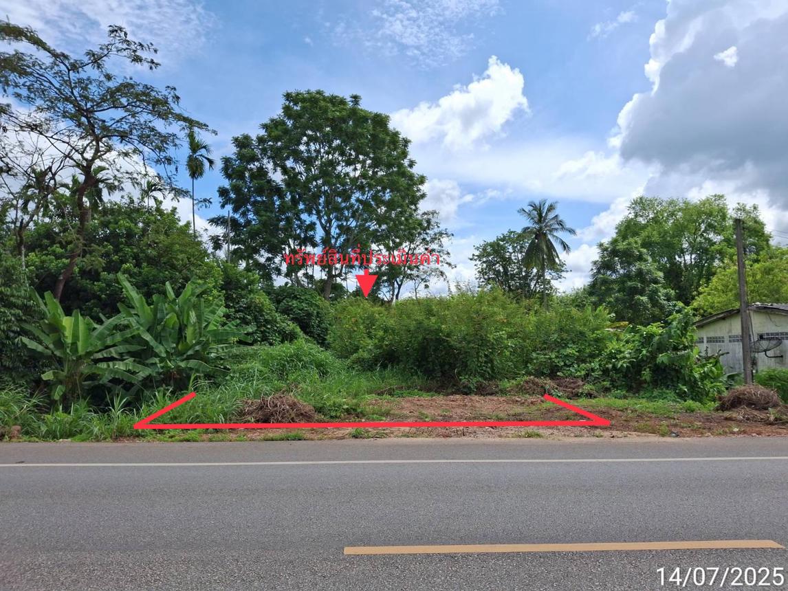 รูป ที่ดินว่างเปล่า 285.9 ตร.วา ปะเหลียน ตรัง 2.7M - รูปที่ 12/25