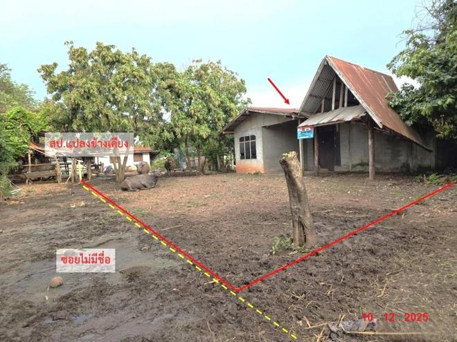 รูป บ้านเดี่ยว 73 ตร.วา พังโคน สกลนคร 216,000 - รูปที่ 9/21