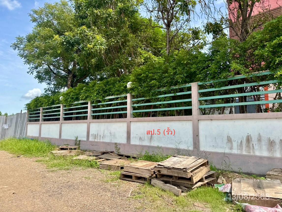 picture FACTORY 800 Sq.w. Lam Luk Ka Pathumthani for 23.3M - 44/49