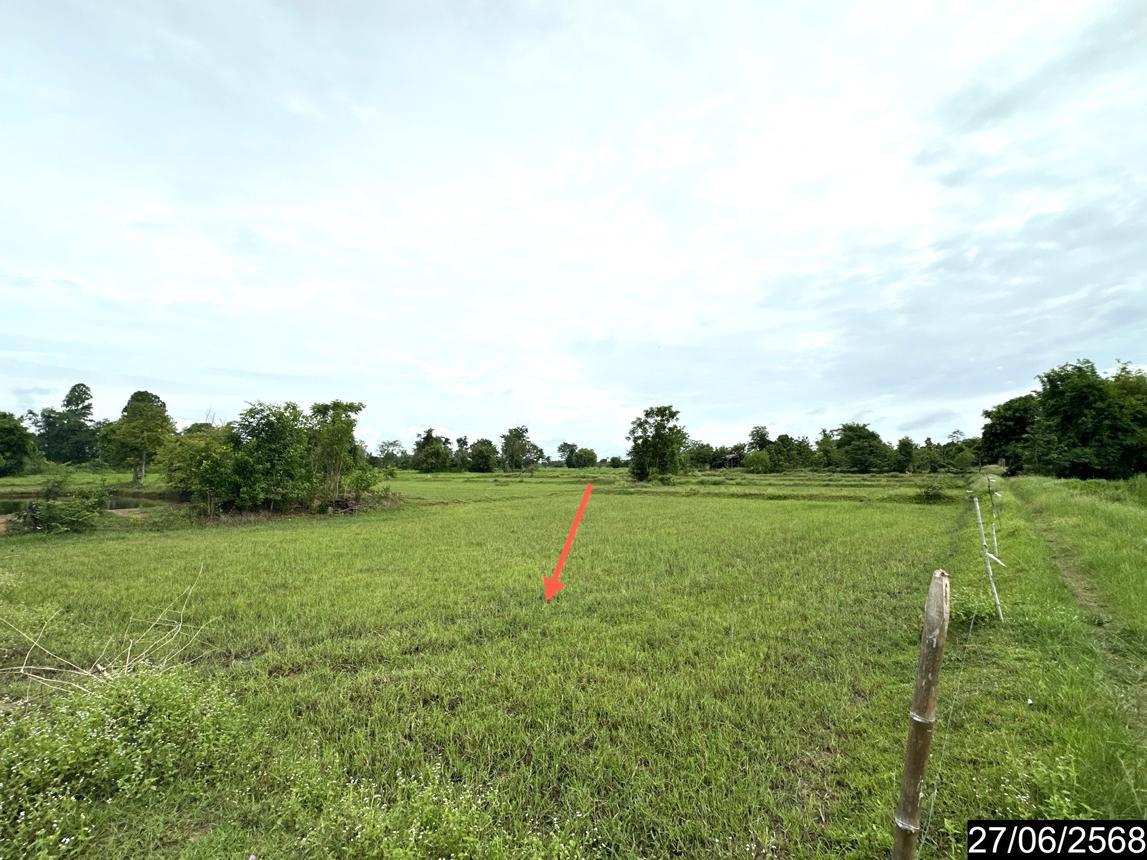 รูป ที่ดินว่างเปล่า 5664 ตร.วา เดชอุดม อุบลราชธานี 6.1M - รูปที่ 17/25