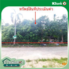 listing thumbnail image 12