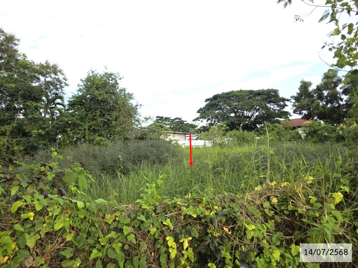 รูป ที่ดินว่างเปล่า 167.8 ตร.วา เมืองสกลนคร สกลนคร 2.3M - รูปที่ 16/25