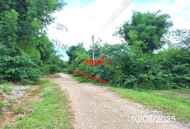 picture LAND 746 Sq.w. Mae Tha Lamphang for 656,000 - 6/21