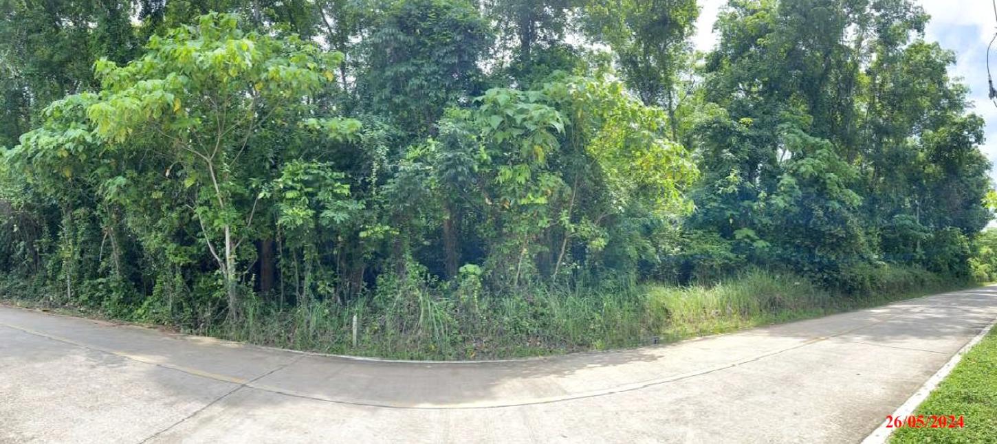 รูป ที่ดินว่างเปล่า 6417.1 ตร.วา เมืองภูเก็ต ภูเก็ต 109M - รูปที่ 10/19