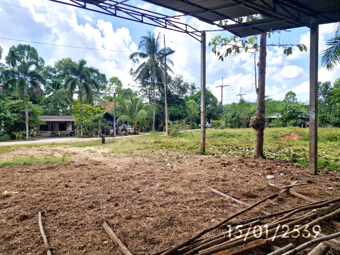 picture FACTORY 179 Sq.w. Huai Yot Trang for 962,000 - 12/19