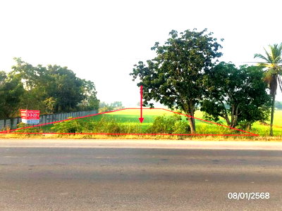 Land for sale Phitsanulok : LAND 1523 Sq.w. Phrom Phiram Phitsanulok for 2.2M