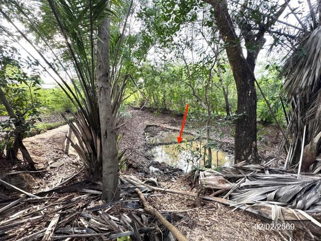 รูป บ้านเดี่ยว 460.9 ตร.วา เมืองอุบลราชธานี อุบลราชธานี 2.1M - รูปที่ 18/43