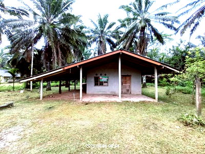 Houses for sale Prasaeng Surat Thani : HOME 4176 Sq.w. Prasaeng Surat Thani for 4.2M
