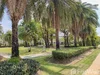 listing thumbnail image 55