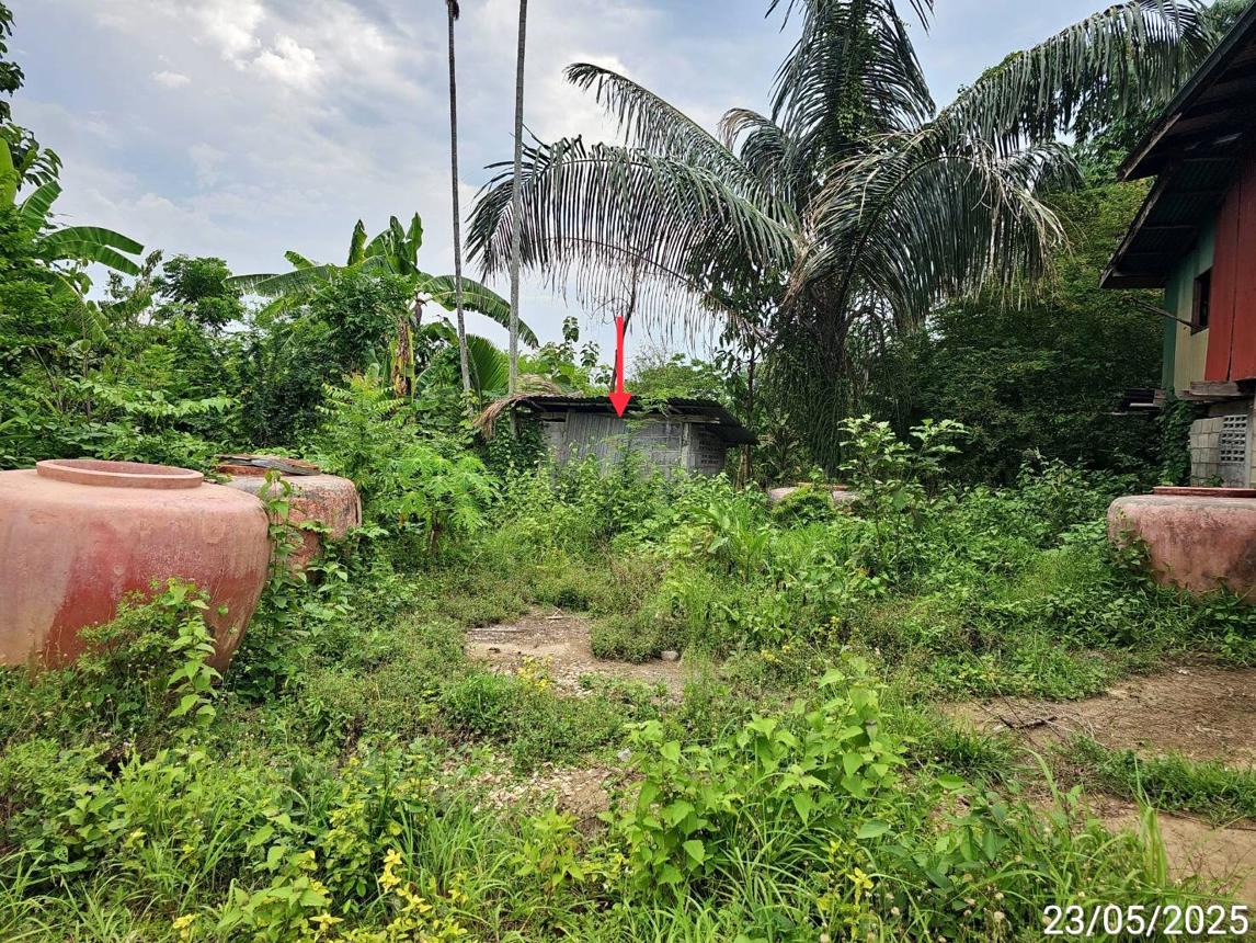 รูป บ้านเดี่ยว 163 ตร.วา เมืองเพชรบูรณ์ เพชรบูรณ์ 289,000 - รูปที่ 27/31