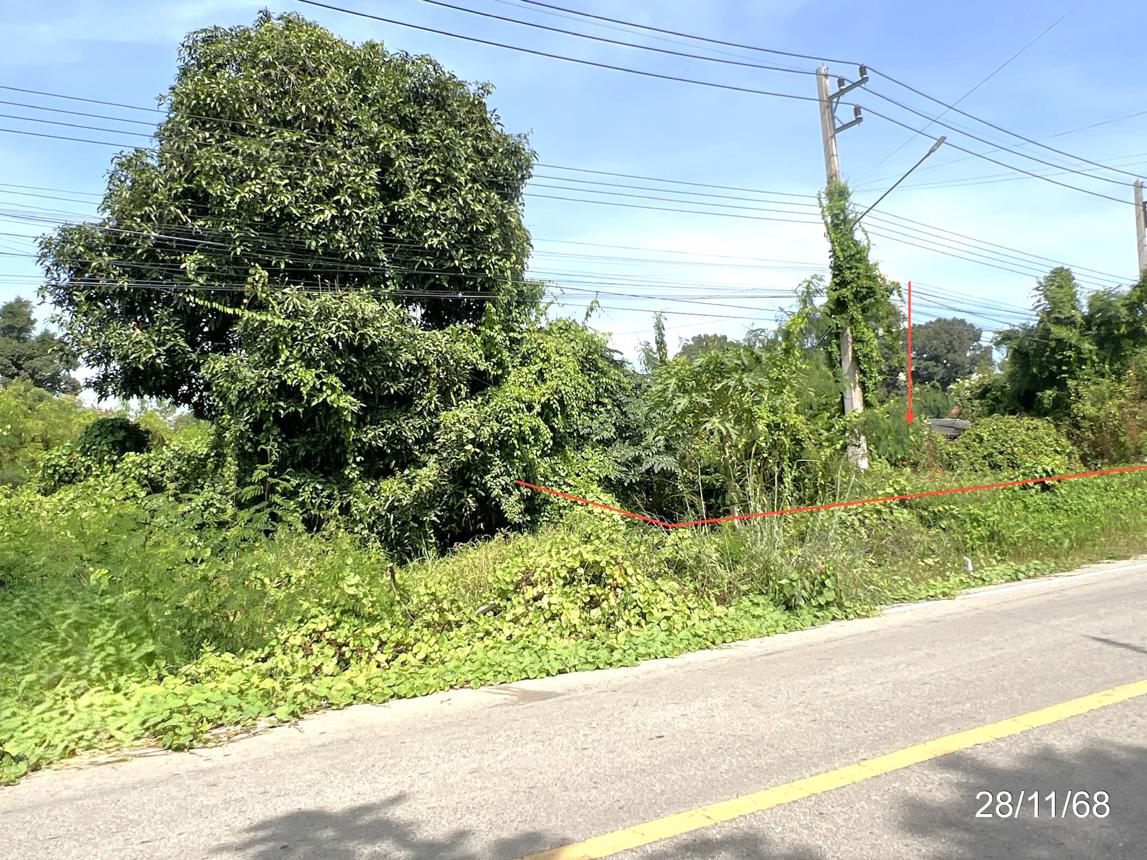 รูป บ้านเดี่ยว 176 ตร.วา เมืองชัยนาท ชัยนาท 1.1M - รูปที่ 13/17