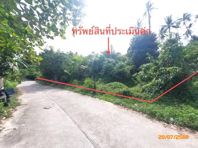 picture LAND 1519 Sq.w. Ko Samui Surat Thani for 12.6M - 4/15