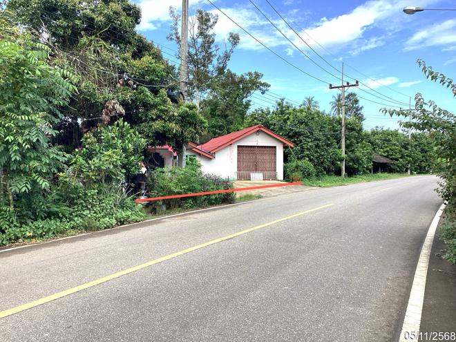 รูป บ้านเดี่ยว 85 ตร.วา สะเดา สงขลา 1.7M - รูปที่ 4/15