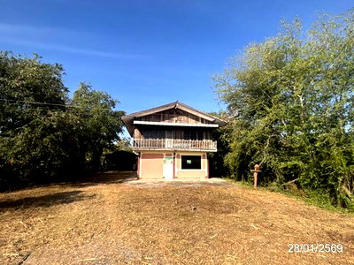 บ้านเดี่ยว นครราชสีมา (โคราช) : บ้านเดี่ยว 390 ตร.วา พระทองคำ นครราชสีมา 1.2M