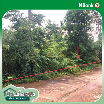 รูป ที่ดินว่างเปล่า 2774 ตร.วา เขาค้อแกรนด์วิลล์ เมืองเพชรบูรณ์ เพชรบูรณ์ 1.6M - รูปที่ 33/35