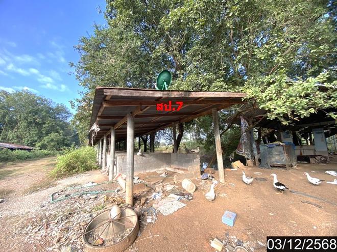 รูป บ้านเดี่ยว 17362 ตร.วา ประจักษ์ศิลปาคม อุดรธานี 16.2M - รูปที่ 17/49