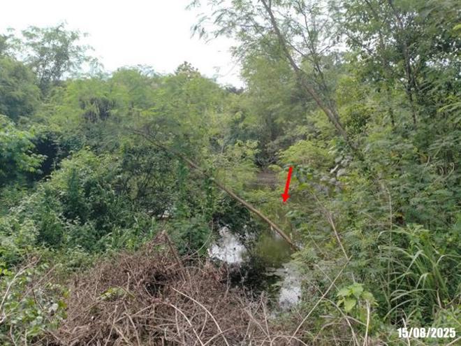รูป โกดัง 58339 ตร.วา วังสะพุง เลย 50.1M - รูปที่ 13/35