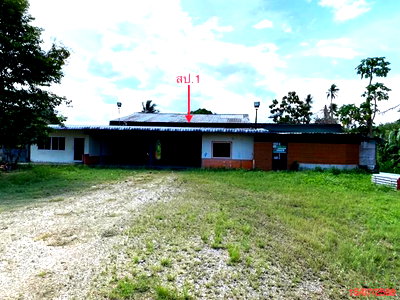 บ้านเดี่ยว สะเดา สงขลา : บ้านเดี่ยว 7282 ตร.วา สะเดา สงขลา 14.8M