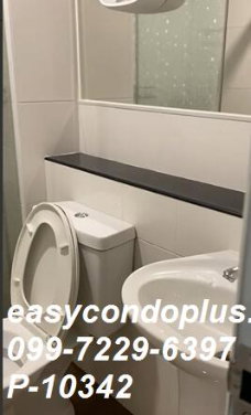 picture 💥 [𝐏-𝟏𝟎𝟑𝟒𝟐] FORRENT : Regent Home Sukhumvit 81  Airy & Comfortable! Near BTS On Nut 𝟏𝟐,𝟎𝟎𝟎 THB/m. | Line ID @easycondoplus | 099-229-6397 - 8/8