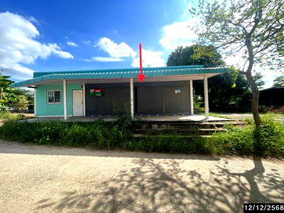 บ้านเดี่ยว ชัยภูมิ : บ้านเดี่ยว 71 ตร.วา จัตุรัส ชัยภูมิ 989,000