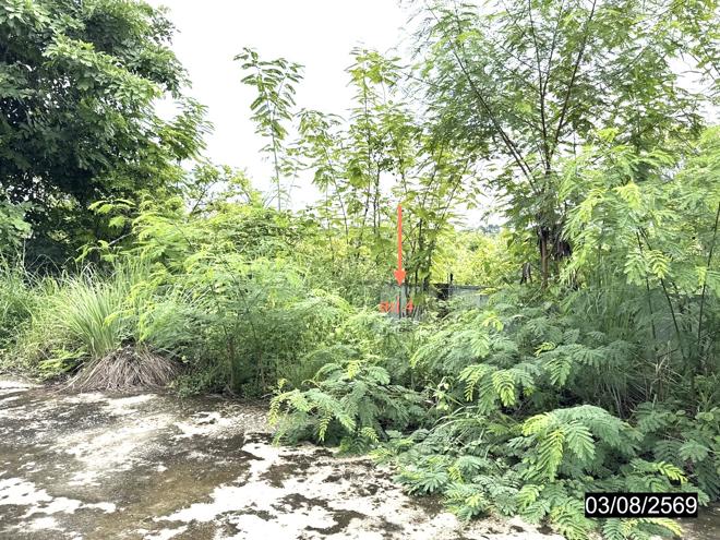 รูป โกดัง 999 ตร.วา ท่าคันโท กาฬสินธุ์ 17.9M - รูปที่ 9/21