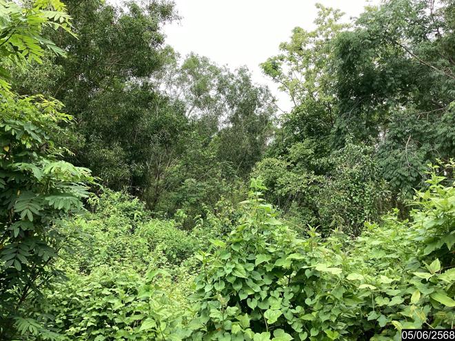รูป ที่ดินว่างเปล่า 991.1 ตร.วา เมืองอุดรธานี อุดรธานี 8.5M - รูปที่ 8/25