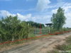 listing thumbnail image 33