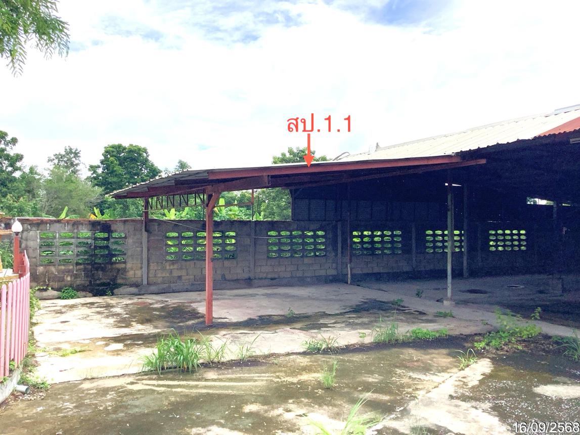 รูป บ้านเดี่ยว 540 ตร.วา ทรายทองวัฒนา กำแพงเพชร 2M - รูปที่ 34/41