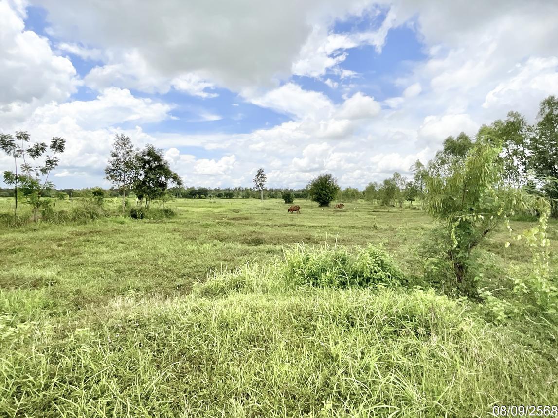 picture HOME 4215 Sq.w. Thung Fon Udon Thani for 2.7M - 20/25