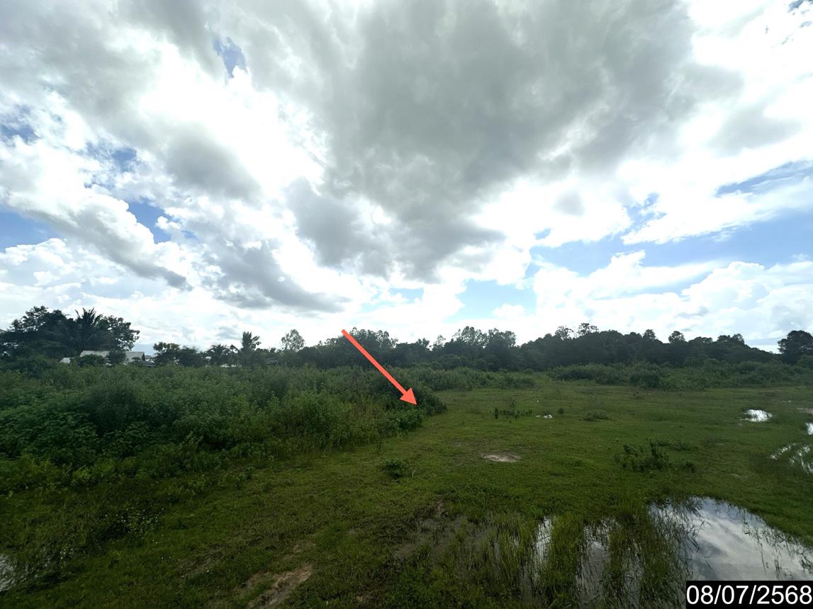 รูป ที่ดินว่างเปล่า 5451.5 ตร.วา นาจะหลวย อุบลราชธานี 8.7M - รูปที่ 14/25