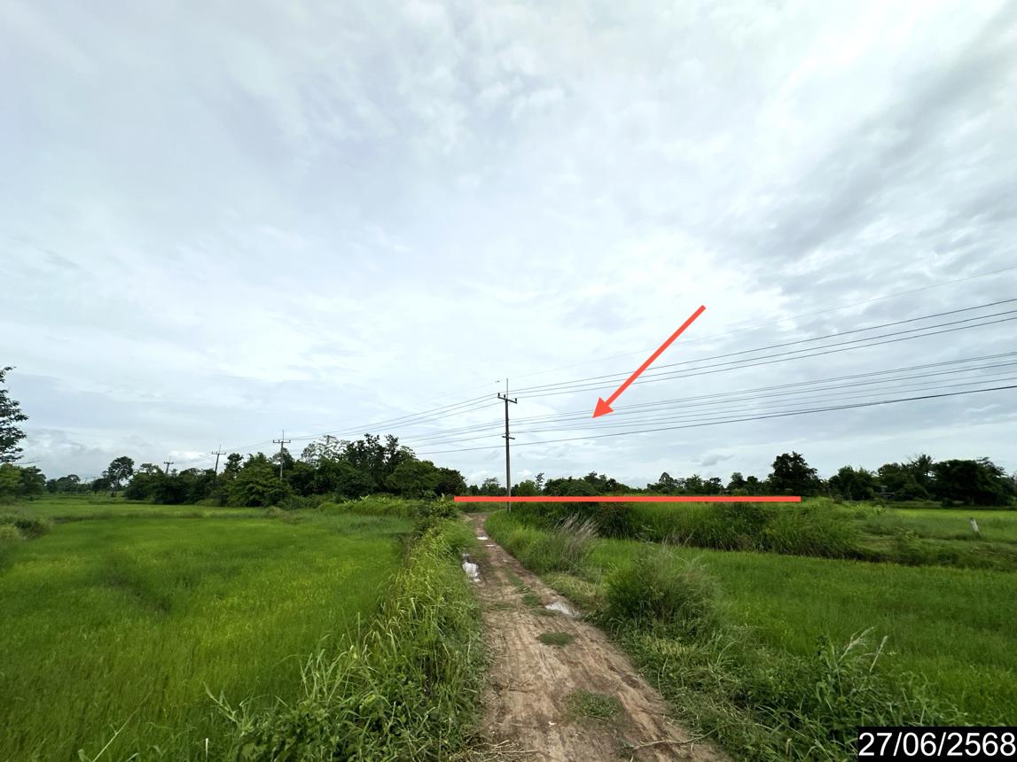 รูป ที่ดินว่างเปล่า 5664 ตร.วา เดชอุดม อุบลราชธานี 6.1M - รูปที่ 12/25