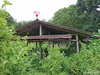 listing thumbnail image 61
