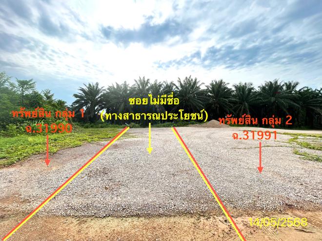 picture LAND 564.2 Sq.w. Palian Trang for 4.2M - 11/25