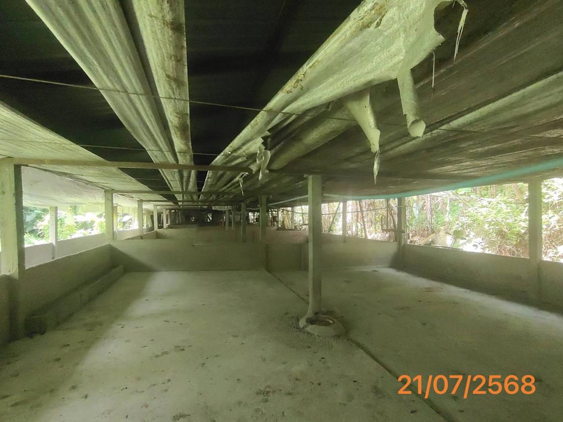 picture HOME 4455.3 Sq.w. Takua Thung Phangnga for 3.8M - 34/43
