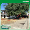 listing thumbnail image 26